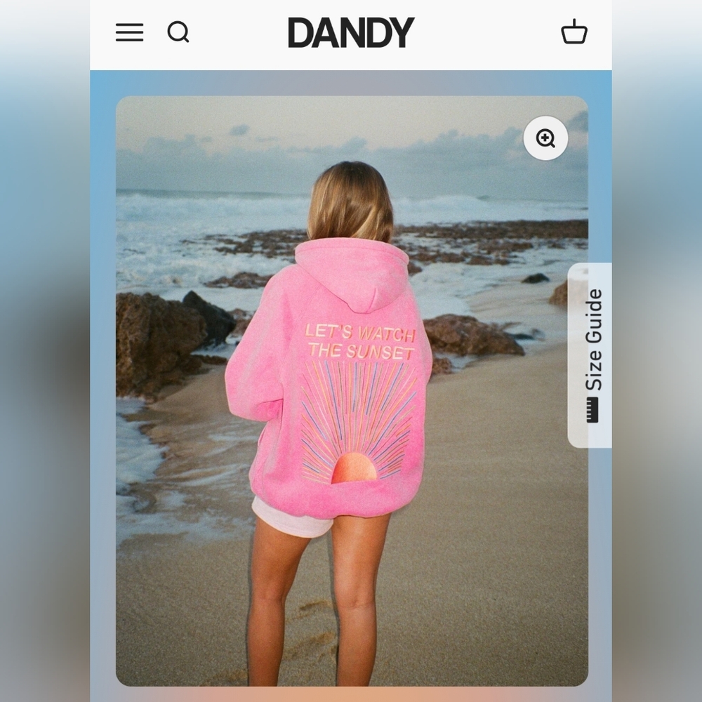 Dandy Small Let's Watch the Sunset Oversized Lux Hoodie in Vintage Washed Pink